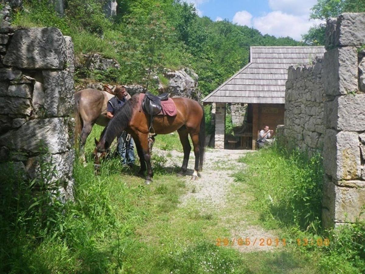 Dvori Stipanovi With Heated Pool And Jacuzzi Villa Donje Rascane Екстериор снимка